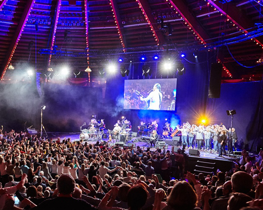 Alfons Hasenknopf Konzert im Circus Krone